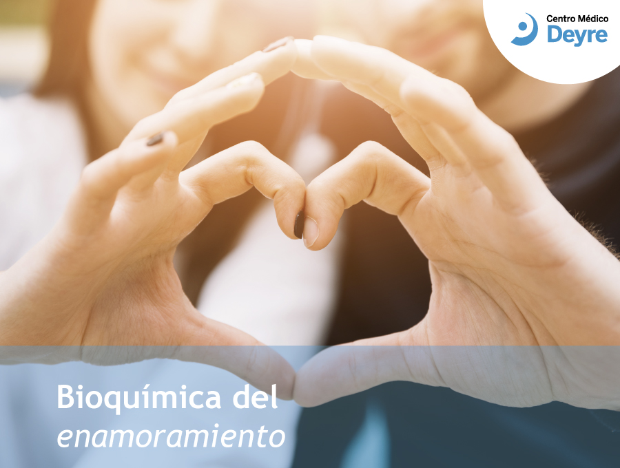 bioquímica del enamoramiento